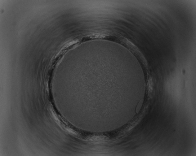 X0000051890209200507020104