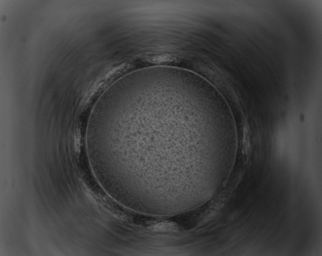 X0000051890210200507020104