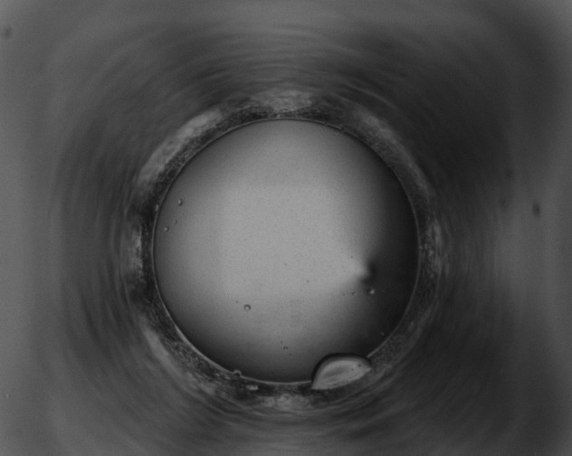 X0000051890212200507020104