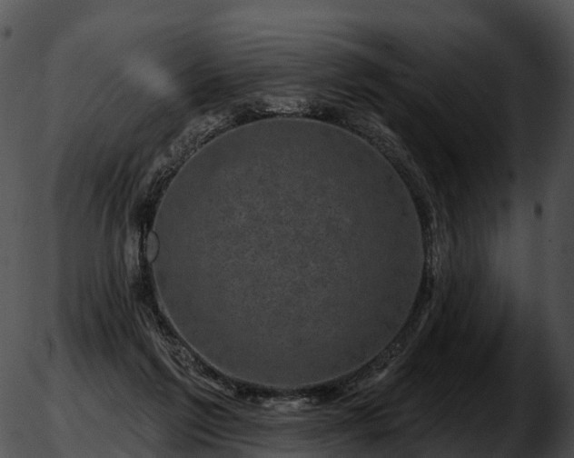 X0000051890213200507020104