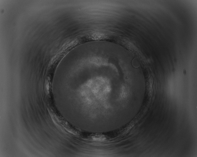 X0000051890214200507020104