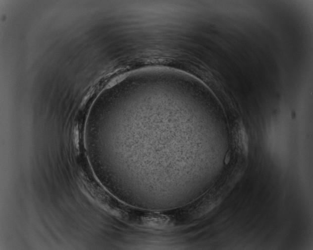 X0000051890215200507020104