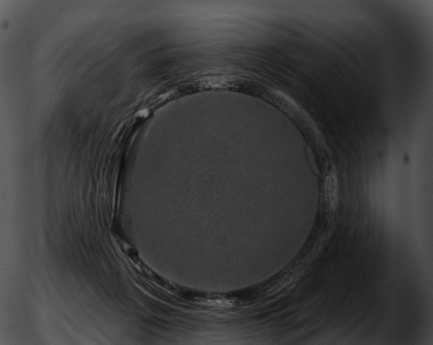 X0000051890217200507020104