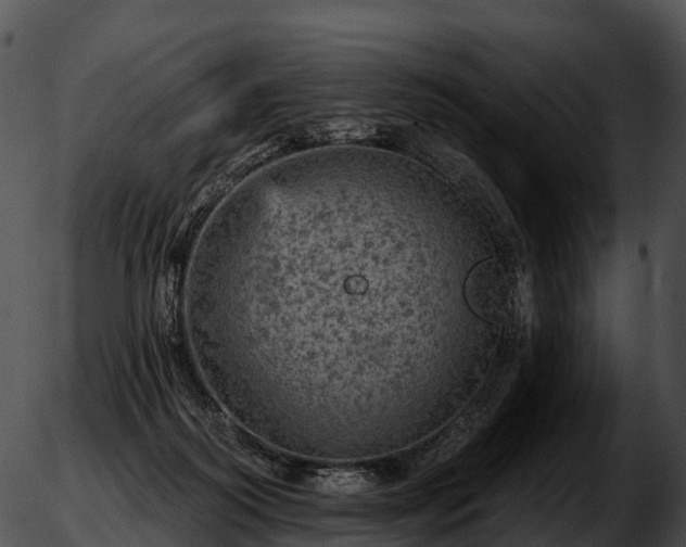 X0000051890218200507020104