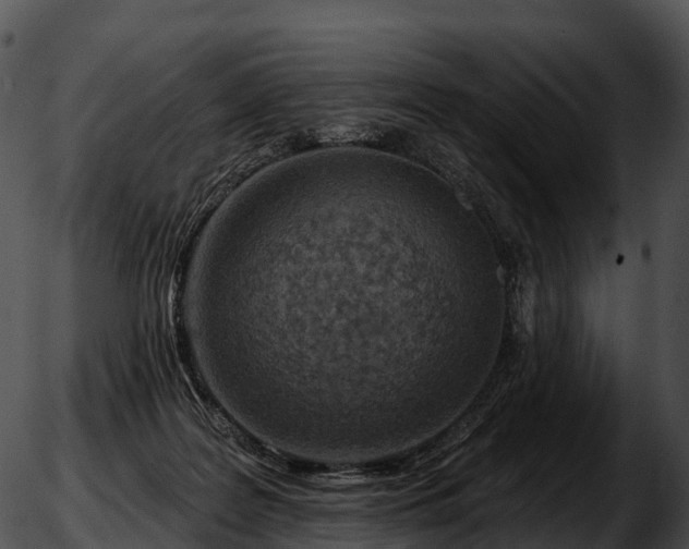 X0000051890219200507020104