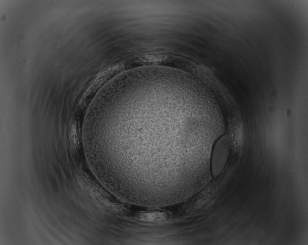 X0000051890220200507020104