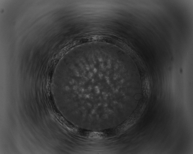 X0000051890222200507020104