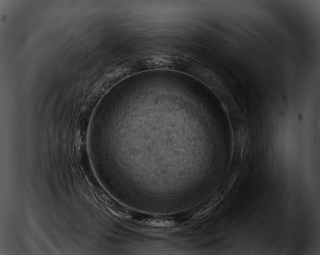 X0000051890223200507020104