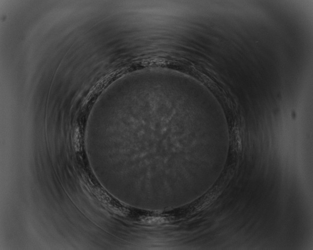 X0000051890224200507020104