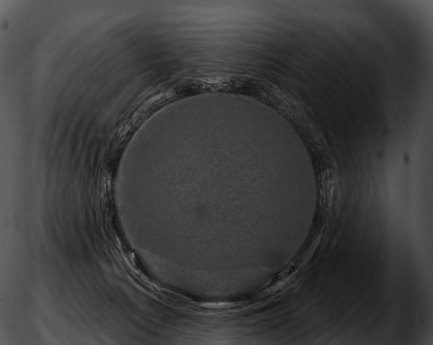 X0000051890225200507020104