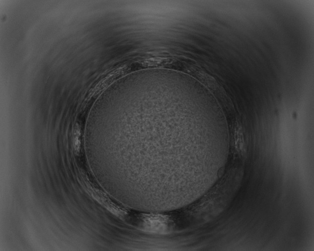 X0000051890226200507020104