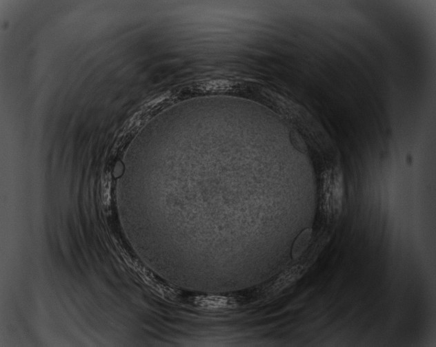 X0000051890230200507020104