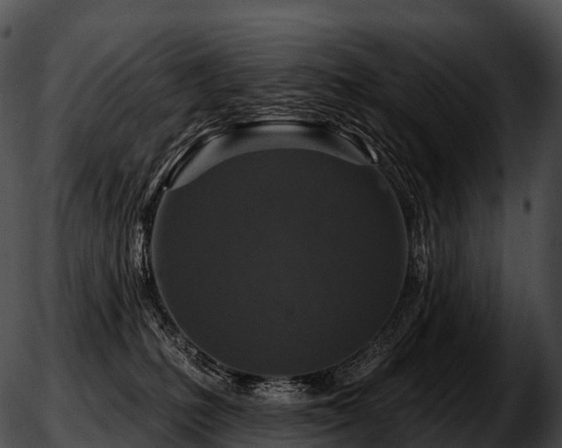 X0000051890231200507020104