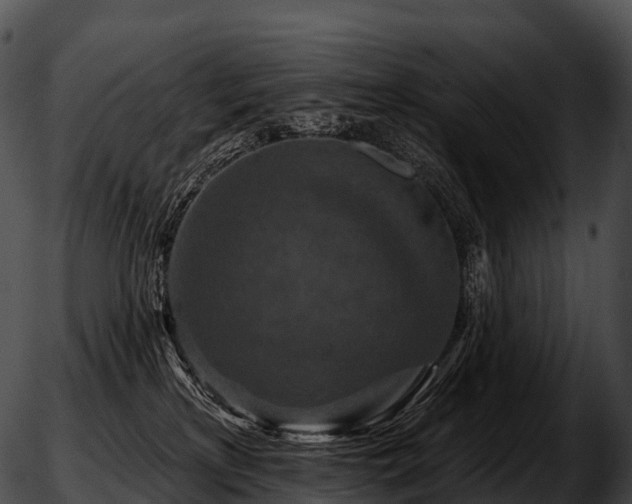 X0000051890233200507020104