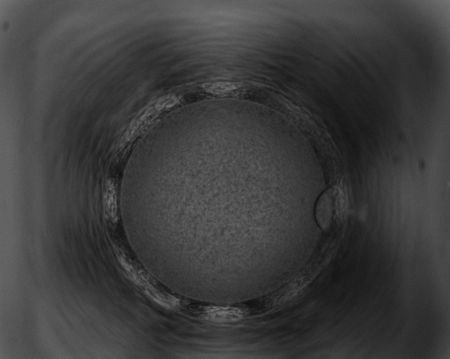 X0000051890234200507020104