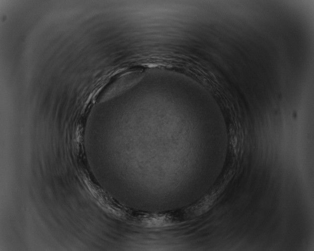 X0000051890235200507020104