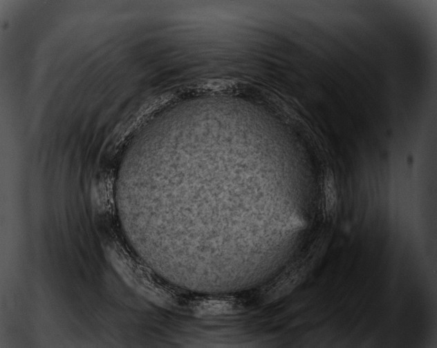 X0000051890236200507020104