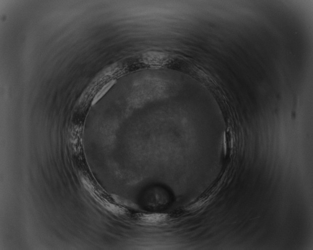 X0000051890237200507020103