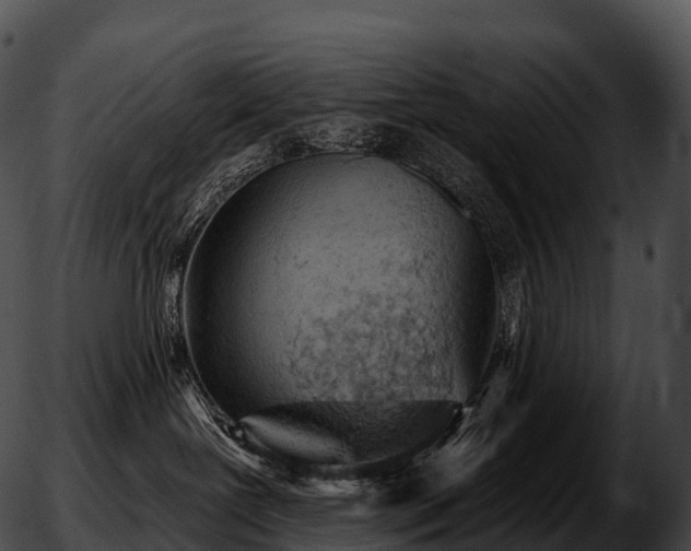 X0000051890239200507020103