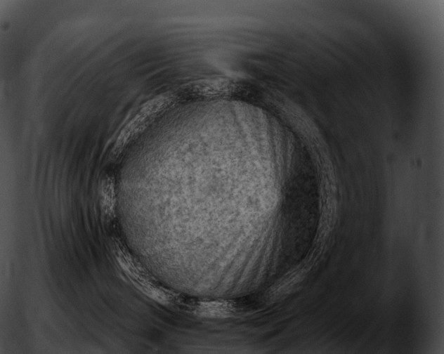 X0000051890240200507020103