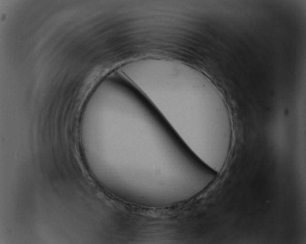 X0000051890241200507020103