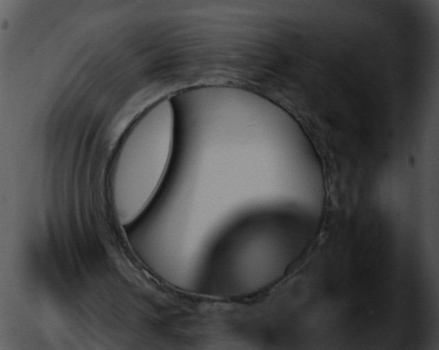 X0000051890242200507020103