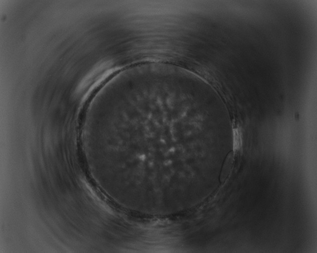 X0000051890243200507020103