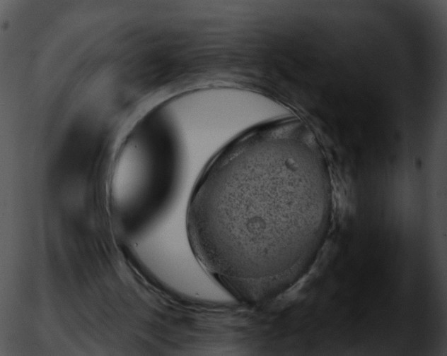 X0000051890244200507020103