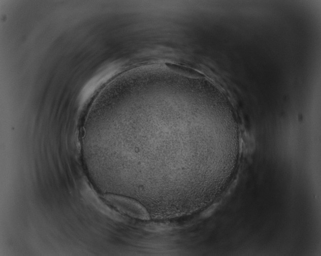 X0000051890245200507020103