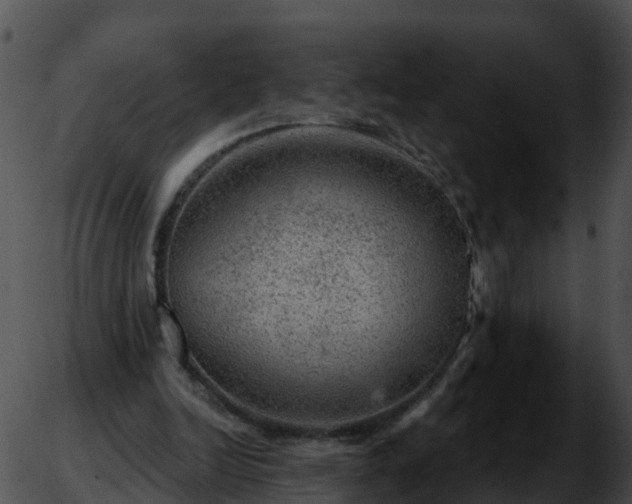 X0000051890246200507020103