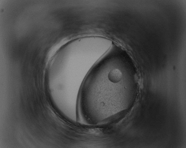 X0000051890248200507020103