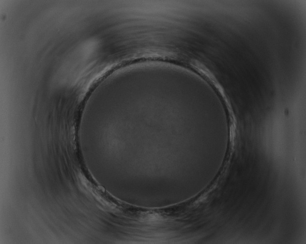 X0000051890249200507020103