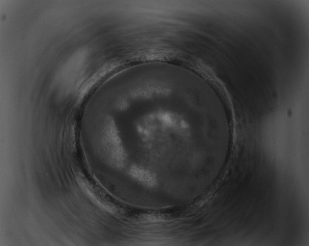 X0000051890250200507020103