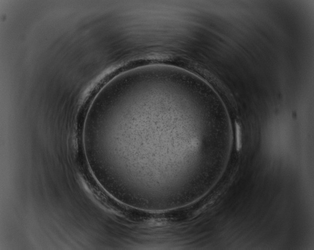 X0000051890252200507020103