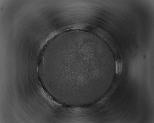 X0000051890253200507020103