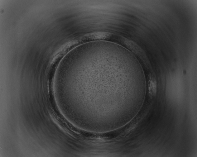 X0000051890254200507020103