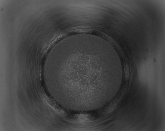 X0000051890255200507020103