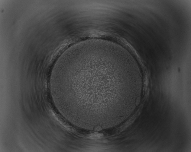 X0000051890257200507020103