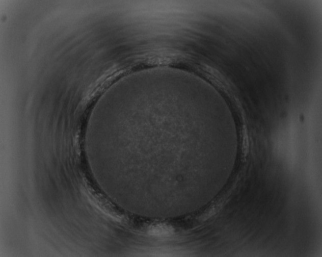 X0000051890258200507020103