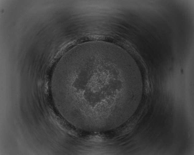 X0000051890259200507020103