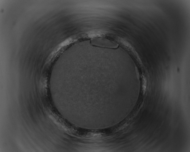 X0000051890260200507020103