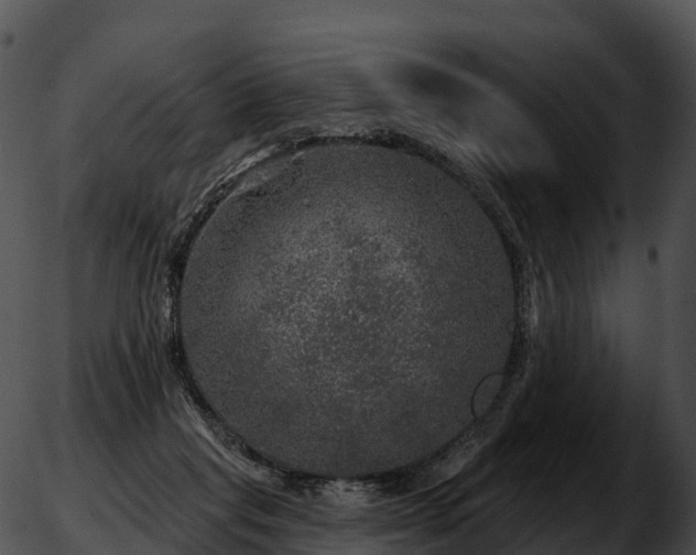 X0000051890261200507020103