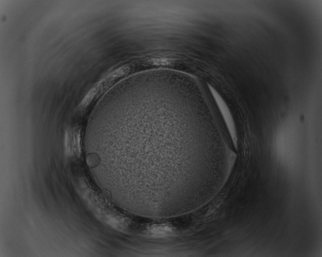 X0000051890262200507020103