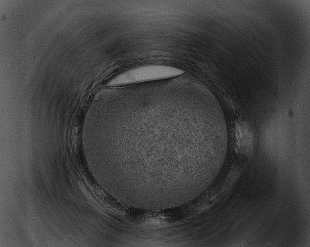 X0000051890263200507020103