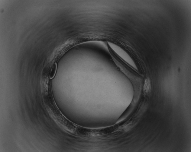 X0000051890264200507020103