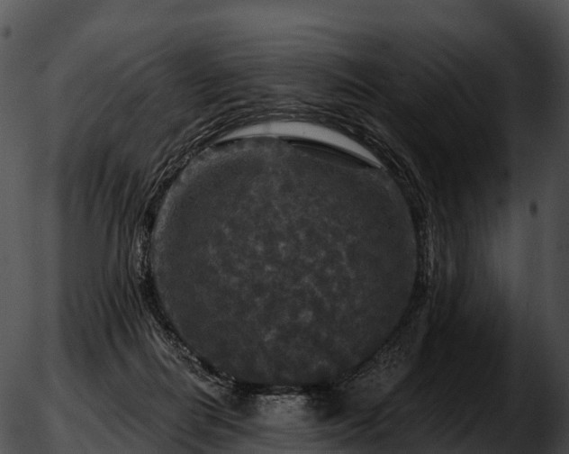 X0000051890266200507020103