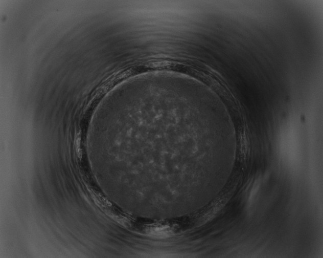 X0000051890267200507020103