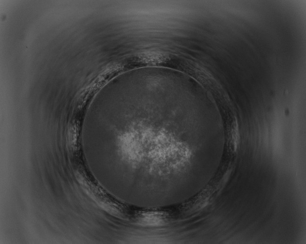 X0000051890268200507020103