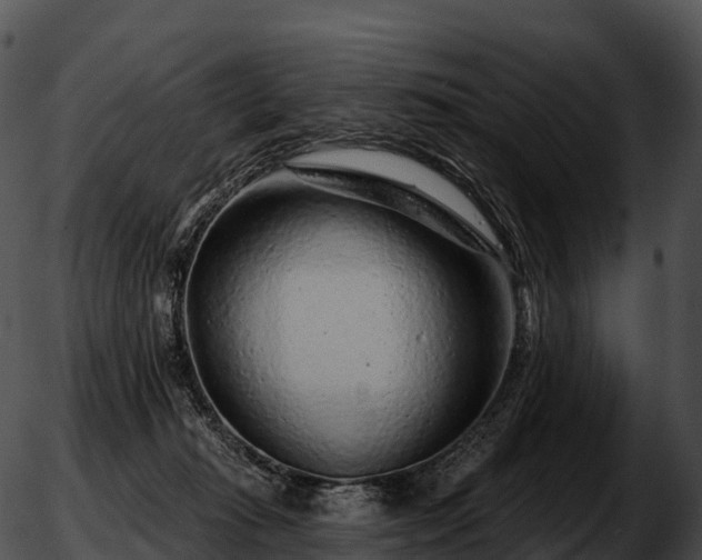 X0000051890269200507020103