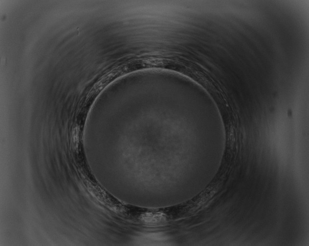 X0000051890271200507020103